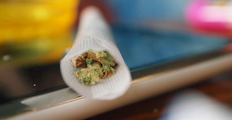Crece el consumo de cannabis entre jóvenes al no considerarlo perjudicial