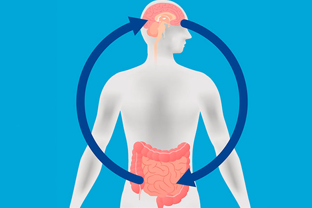 El llamado eje intestino-cerebro es una relación bidireccional, cuando el cerebro "falla" el intestino se ve afectado, y viceversa.